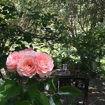 Bed and Breakfast Filomena 3*